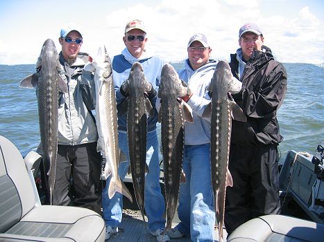 Keeper Sturgeon Fishing