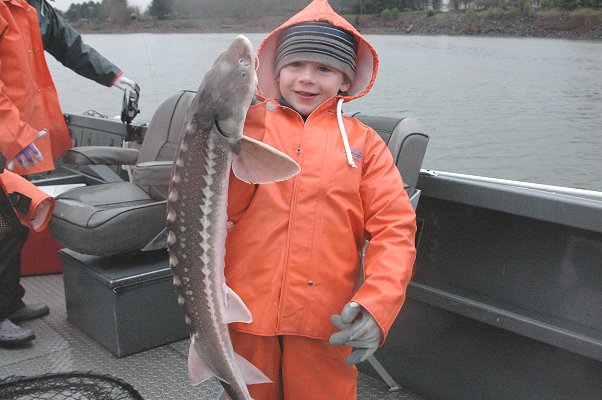 white sturgeon fishing